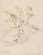 Glycine (Emile Gallé) - Muzeo.com