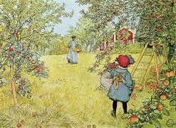 La récolte des pommes (Carl Larsson) - Muzeo.com