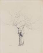 L'Arbre nu (Odilon Redon) - Muzeo.com
