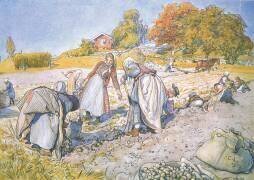 Les enfants ont rempli les seaux et les paniers de pommes de terre (Carl Larsson) - Muzeo.com