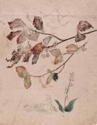 Muguet et noisetier (Emile Gallé) - Muzeo.com