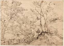Bois, avec au loin un village, visible à travers la futaie (Frères Carracci (école des)) - Muzeo.com