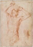 Homme nu assis vu de face jusqu'aux genoux la tête levée et jouant de la flûte de Pan (Bronzino) - Muzeo.com
