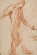 Homme nu debout (Charles Le Brun) - Muzeo.com