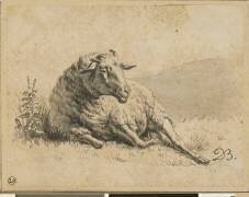 Mouton couché vu de face, la tête tournée vers la droite (Jean-Jacques de Boissieu) - Muzeo.com