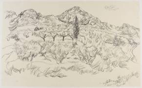 Paysage des Alpilles (André Jordan) - Muzeo.com
