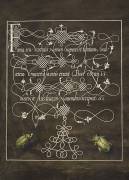 Coccinelle et scarabée, Mira Calligraphiae Monumenta (Joris Hoefnagel) - Muzeo.com