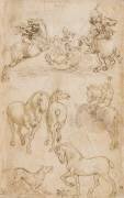 Courrier monté sur un cheval qui galope, étude de chevaux (Léonard de Vinci) - Muzeo.com