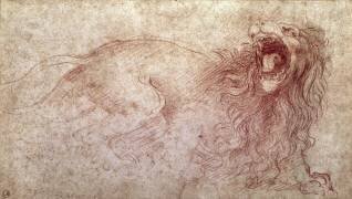 Croquis d'un lion rugissant (Léonard de Vinci) - Muzeo.com