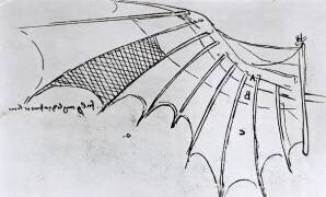 Études de l'articulation des ailes (Léonard de Vinci) - Muzeo.com