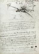 Formation à l'aile (Léonard de Vinci) - Muzeo.com