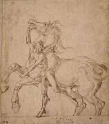 Homme nu tenant un cheval cabré (Albrecht Dürer) - Muzeo.com