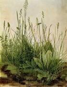 La grande touffe d'herbes (Albrecht Dürer) - Muzeo.com