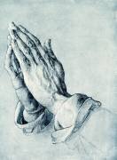 Les mains pliées d'un apôtre (Albrecht Dürer) - Muzeo.com