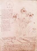 Notes et croquis de botanique et de géométrie : les narcisses (Léonard de Vinci) - Muzeo.com