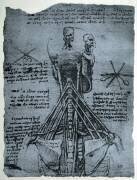 Structure osseuse du cou et de l'épaule humains (Léonard de Vinci) - Muzeo.com