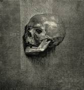 Tête de mort (Albrecht Dürer) - Muzeo.com