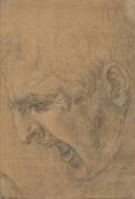 Tête d'un homme qui crie (Léonard de Vinci) - Muzeo.com