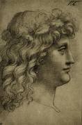 Tête d'un jeune homme (Léonard de Vinci) - Muzeo.com