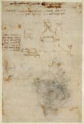 Tête d'un vieil homme et études de machines (Léonard de Vinci) - Muzeo.com
