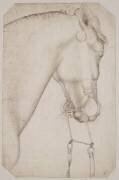 Tête et encolure d'un cheval harnaché, de profil vers la droite, la bride pendante (Pisanello) - Muzeo.com