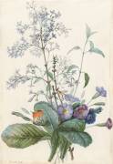 A Bouquet of Flowers with Insects (Pierre Joseph Redouté) - Muzeo.com