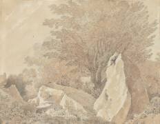 Album de cinquante Dessin du Château de Fontainebleau, de la Forêt, de la ville et des environs (Antoine-Laurent Castellan) - Muzeo.com