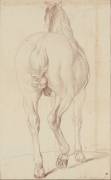 Cheval debout, vu de dos (Edme Bouchardon) - Muzeo.com