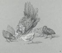 Poule picorant avec cinq poussins (Jean-Baptiste Oudry) - Muzeo.com