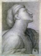 Profile of a face in the style of Raphael (Jean-Auguste-Dominique Ingres) - Muzeo.com