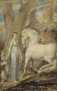 The Horse (William Blake) - Muzeo.com