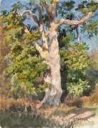 Tree Study (Rosa Bonheur) - Muzeo.com