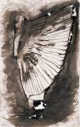 Vieil homme à l'habit d'oiseau (Victor Hugo) - Muzeo.com