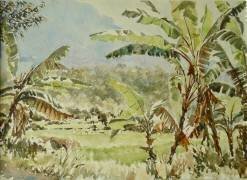 Banana trees (Wilson Clive) - Muzeo.com