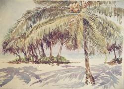 King coconuts and strawtrees (Wilson Clive) - Muzeo.com