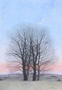 New Moon (Ann Brain) - Muzeo.com