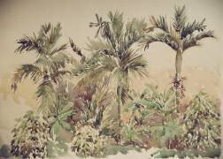 Poivre, bananes et noix d'arec (Wilson Clive) - Muzeo.com