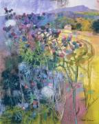 The Wild Beauty of Clee (Claire Spencer) - Muzeo.com