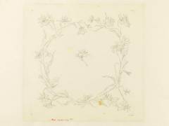 Entourage floral : iris en couronne (Emile Gallé) - Muzeo.com
