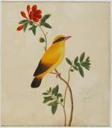 Oiseau (anonymous) - Muzeo.com