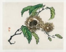 Chestnut (Kono Barei) - Muzeo.com