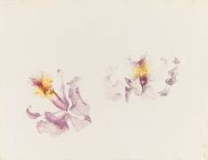 Deux études de cattleya (Emile Gallé) - Muzeo.com