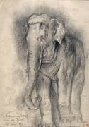 Eléphant sur le vif (Gustave Moreau) - Muzeo.com