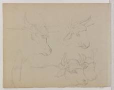 Etude de boeufs et d'un bouvier (Edgar Degas) - Muzeo.com
