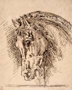 Etude de tête de cheval pour Diomède dévoré par ses chevaux (Gustave Moreau) - Muzeo.com