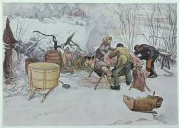 'Killing the Pig' (Carl Larsson) - Muzeo.com