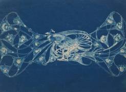 Lalique peacock neck plaque (Pierre-Georges Deraisme) - Muzeo.com