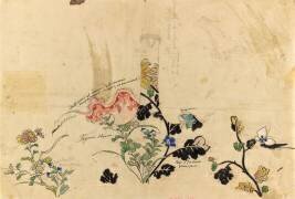 Modèle de décor pour un panier en faïence : marguerites, pervenches, herbages, papillons en vol (Emile Gallé) - Muzeo.com