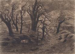 Paysage fantastique : arbres morts et nuit étoilée (Gaston Redon) - Muzeo.com