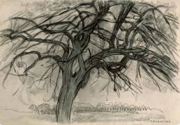 Preliminary Study for Evening: The Red Tree (Piet Mondrian) - Muzeo.com